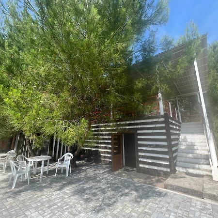 بيزوندا Mini-Hotel Forest Club المظهر الخارجي الصورة