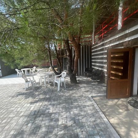 بيزوندا Mini-Hotel Forest Club المظهر الخارجي الصورة