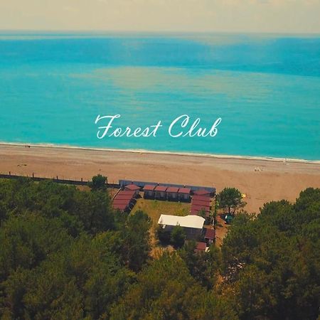 بيزوندا Mini-Hotel Forest Club المظهر الخارجي الصورة