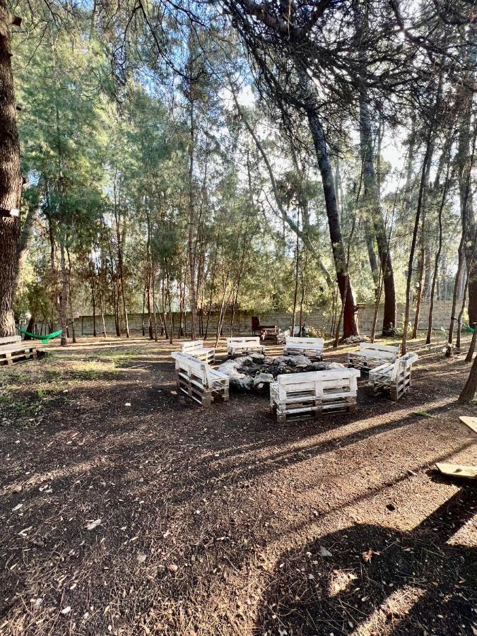 بيزوندا Mini-Hotel Forest Club المظهر الخارجي الصورة
