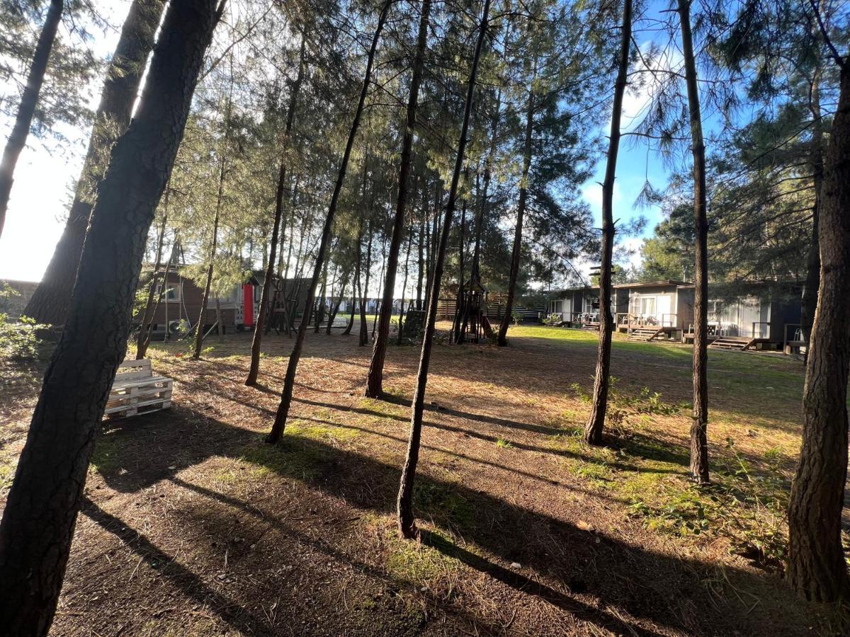 بيزوندا Mini-Hotel Forest Club المظهر الخارجي الصورة