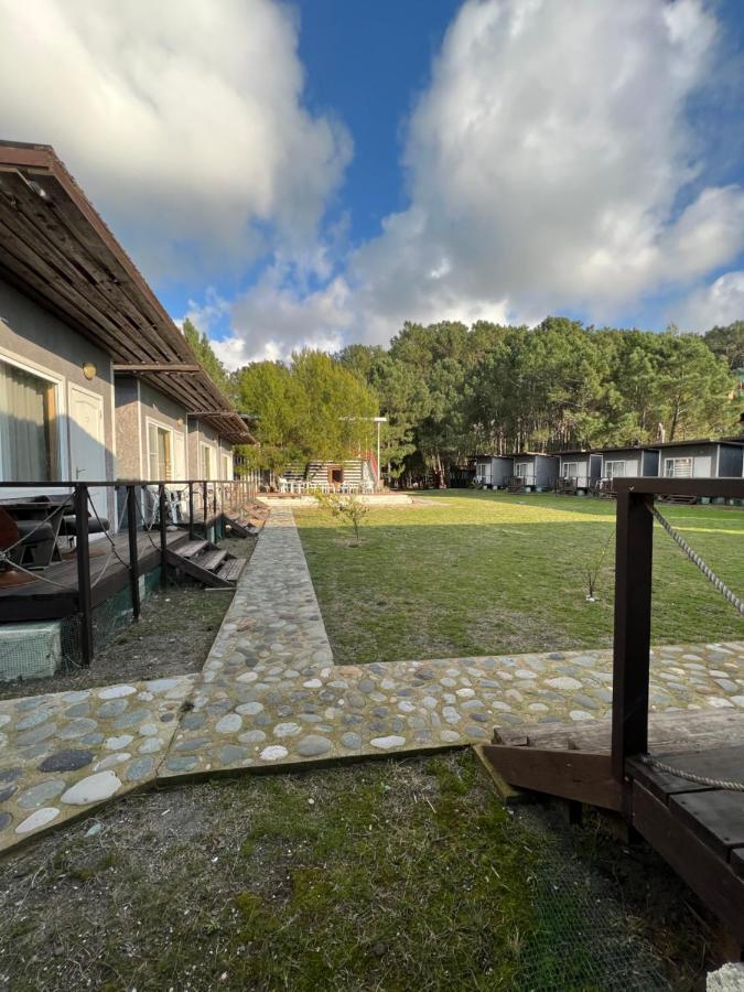 بيزوندا Mini-Hotel Forest Club المظهر الخارجي الصورة