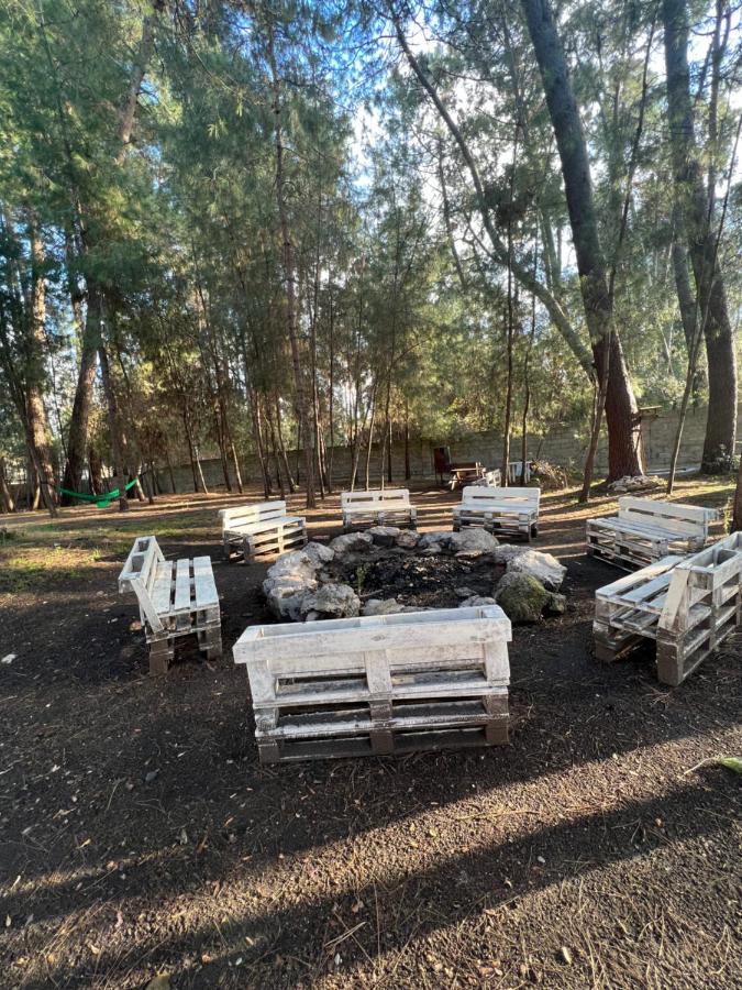 بيزوندا Mini-Hotel Forest Club المظهر الخارجي الصورة