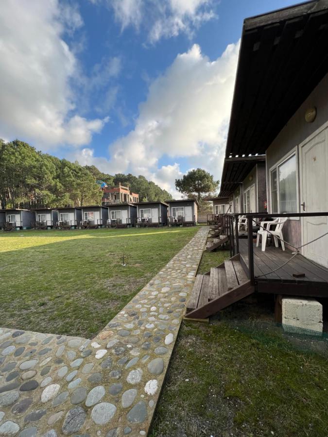 بيزوندا Mini-Hotel Forest Club المظهر الخارجي الصورة