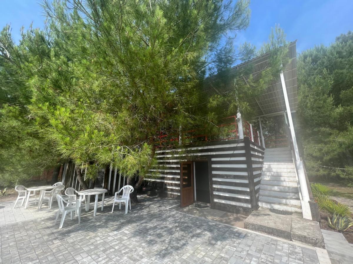 بيزوندا Mini-Hotel Forest Club المظهر الخارجي الصورة