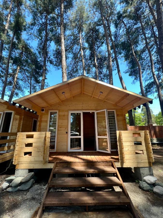 بيزوندا Mini-Hotel Forest Club المظهر الخارجي الصورة
