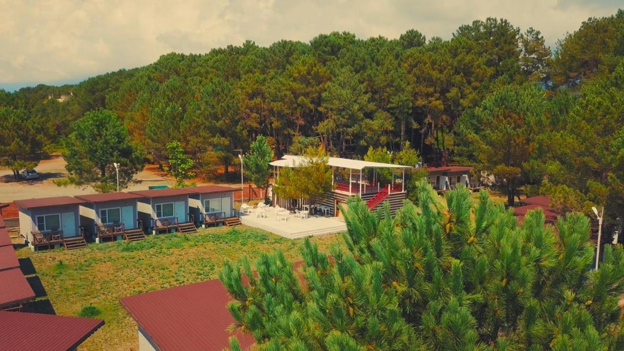 بيزوندا Mini-Hotel Forest Club المظهر الخارجي الصورة