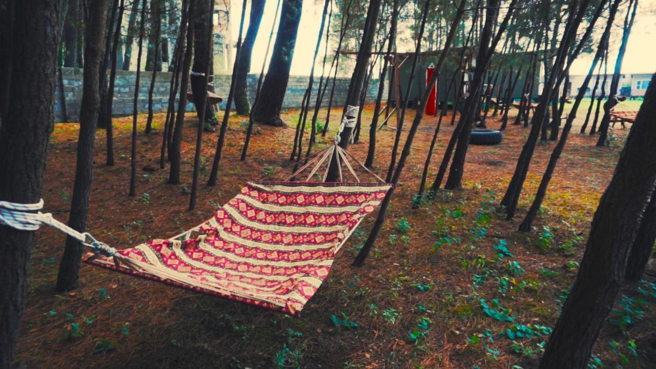 بيزوندا Mini-Hotel Forest Club المظهر الخارجي الصورة