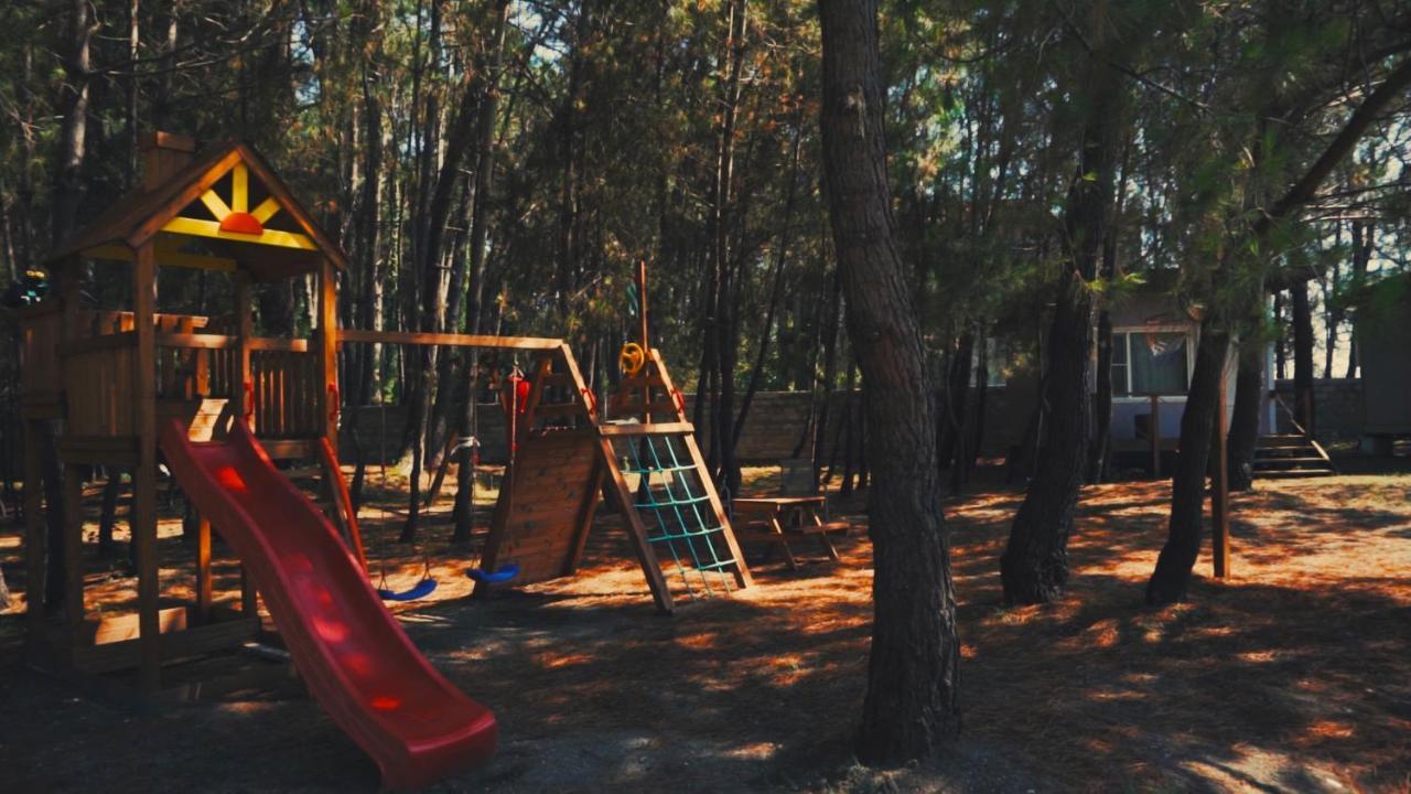 بيزوندا Mini-Hotel Forest Club المظهر الخارجي الصورة